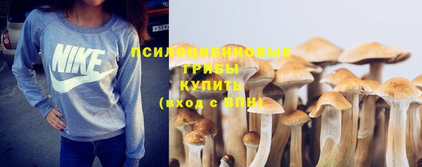 2c-b Алзамай