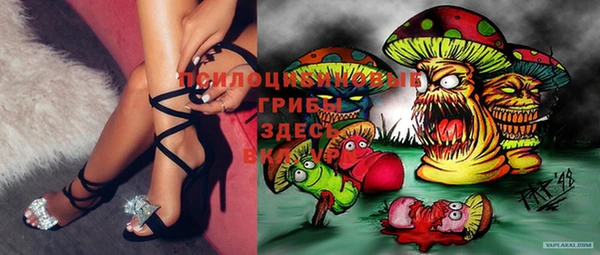 таблы Алексеевка