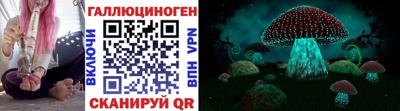 Псилоцибиновые грибы Magic Shrooms  закладка  Талдом 